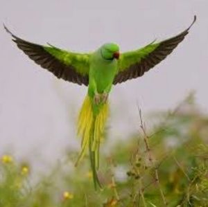 Meet your Posher, Sandra